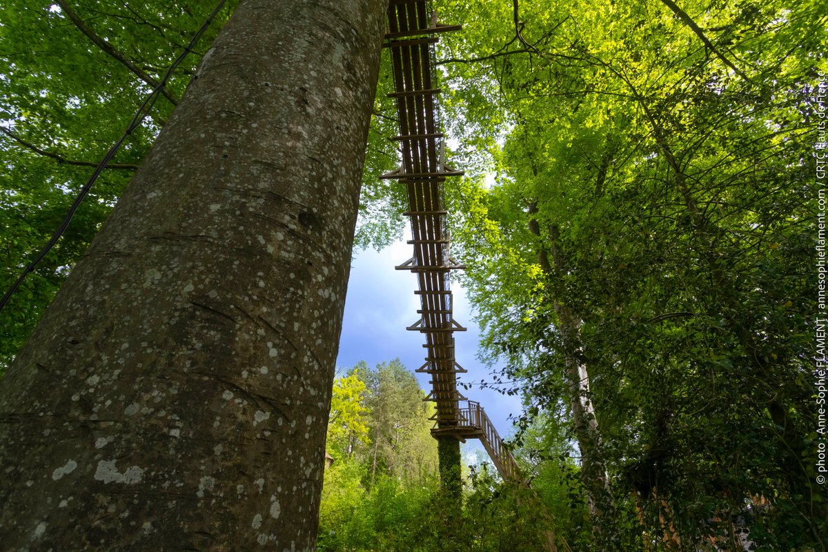 La cabane Haut-Perchée & Spa à Wail (9)