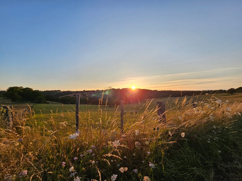 Domaine AbracadaRoom : Les 3 Clefs de GaYa - Image 25