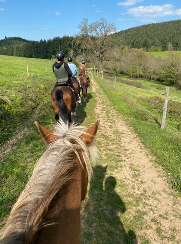 Domaine AbracadaRoom : Centre Equestre de la Vallée - Image 3