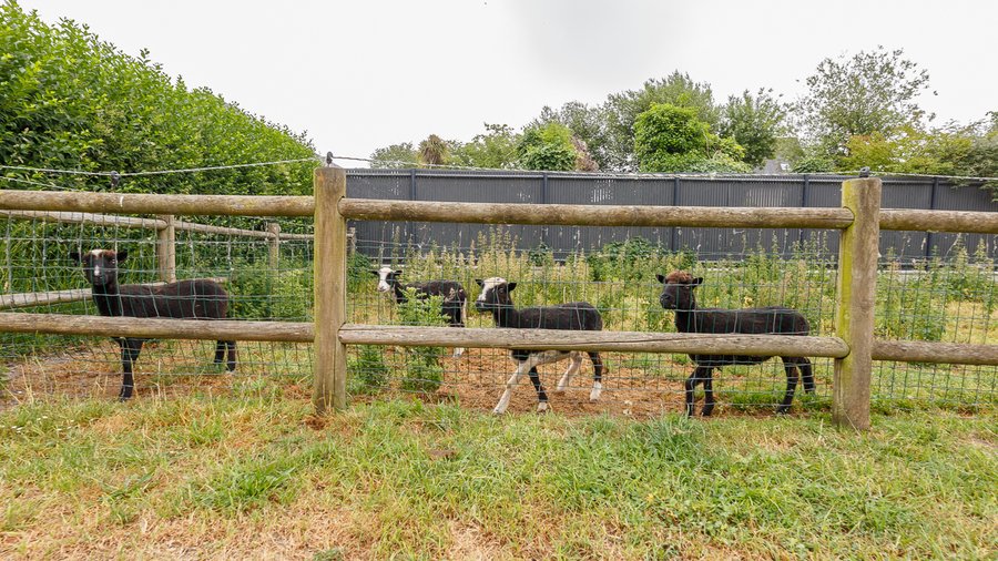 Hébergement AbracadaRoom : Bungalodge Kenya Haliotis - 5 personnes - Image 28