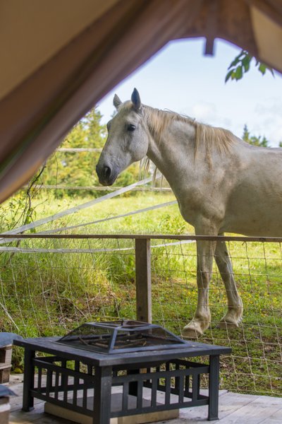 Hébergement AbracadaRoom : Lodge Samana - Image 23