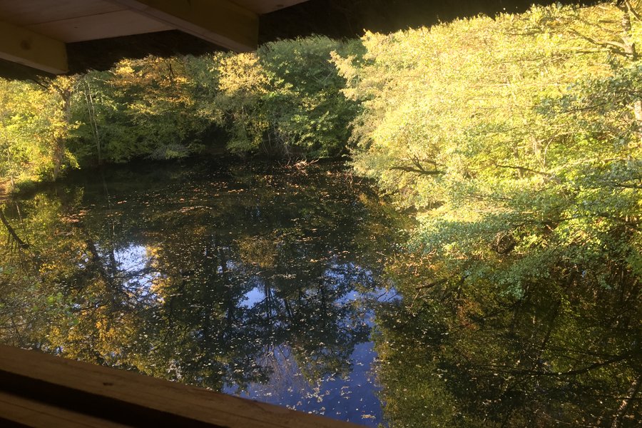 Cabane SPA Prague — photo 2