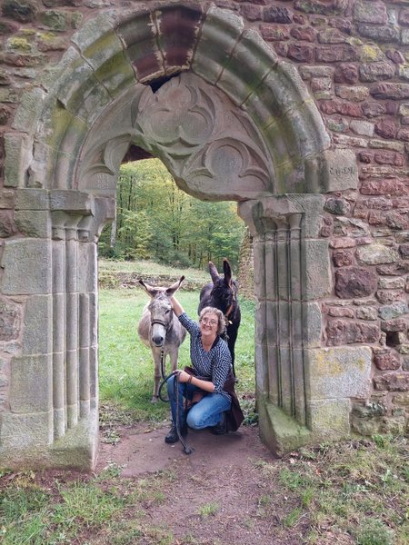 Domaine AbracadaRoom : L'échappée verte - Image 8