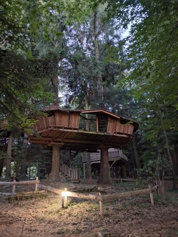 Hébergement AbracadaRoom : Cabane Castor - Image 1