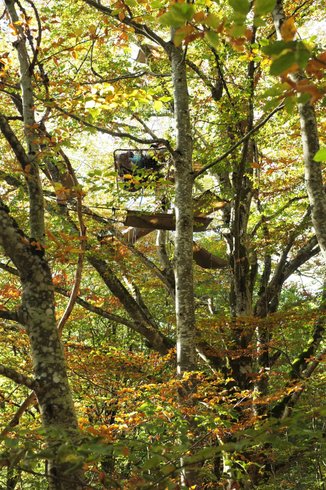 Hébergement AbracadaRoom : Nuit perchée en hamac n°2 - Image 2