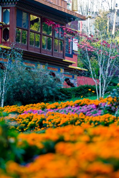 Domaine AbracadaRoom : Séjour Méditation à Lérab Ling - Image 5