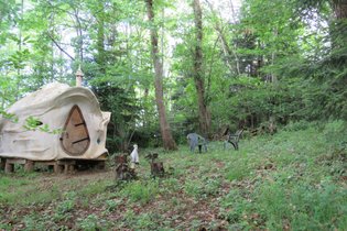 Kerterre, le petit nid dans la foret