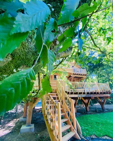 Hébergement AbracadaRoom : La  Belle Verte écolodge avec SPA - Image 35