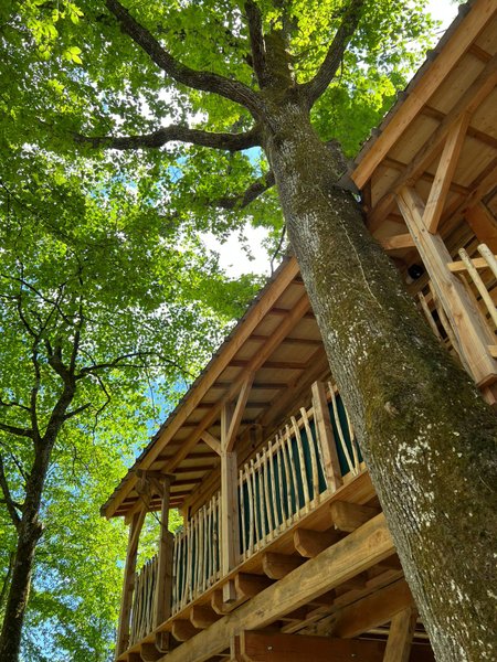 Domaine AbracadaRoom : Cabane Petit Bois - Image 6