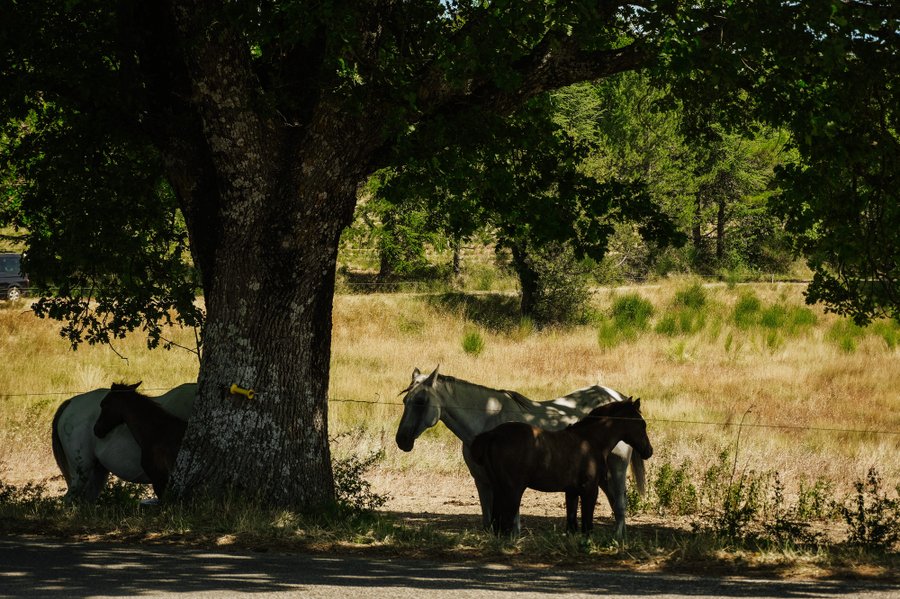 Domaine AbracadaRoom : Homnest (Viens) - Image 41