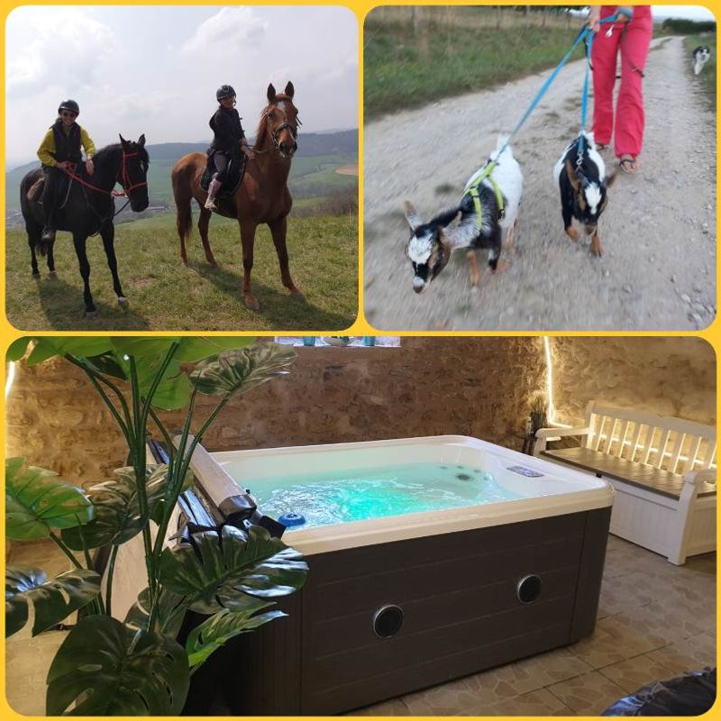 [2] Lodge 4 pers. terrasse avec  des chevaux à votre chevet à Fraisnes-En-Saintois (10)