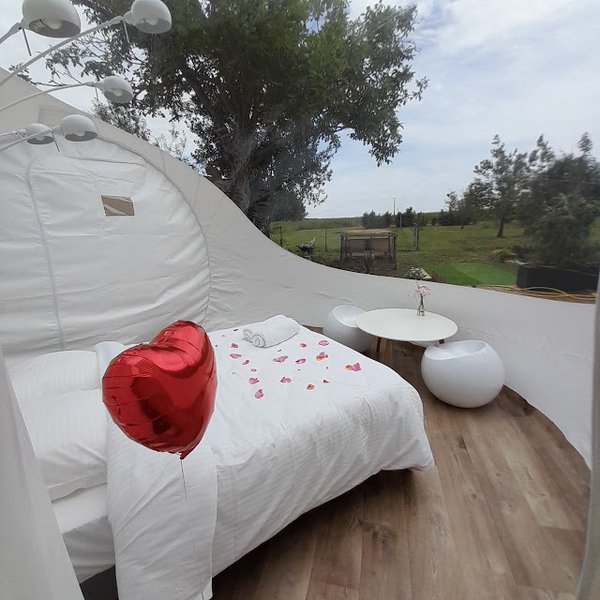 Hébergement AbracadaRoom : La Bulle sur Rouvres - Image 10