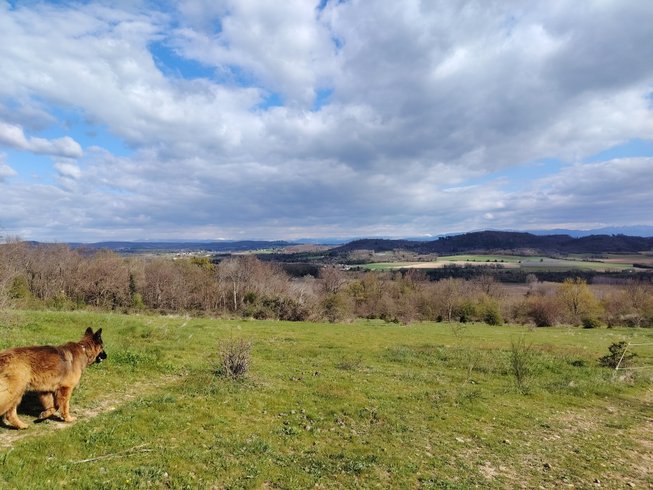 Domaine AbracadaRoom : Les cabanes des collines, au coeur de la Drôme - Image 2