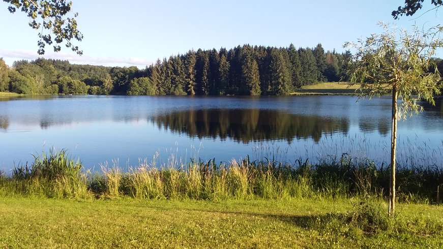 Hébergement AbracadaRoom : Cabane de la Forêt au bord d'un lac - Image 10