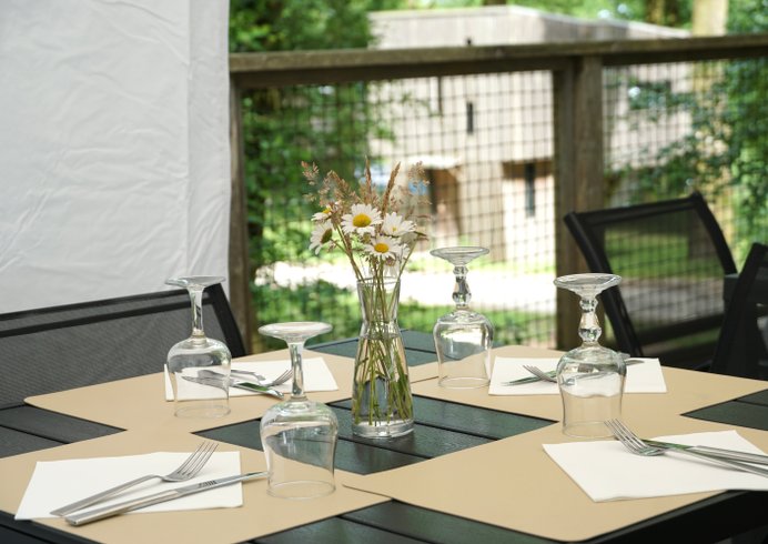 Domaine AbracadaRoom : L'Etape en Forêt - Image 13