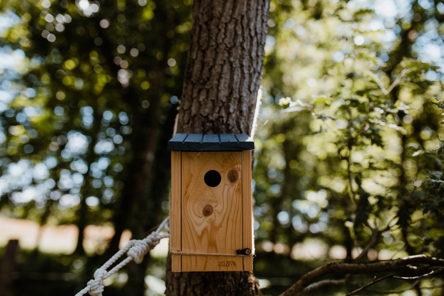 Domaine AbracadaRoom : Tiny Stay Ecolodge - Image 24