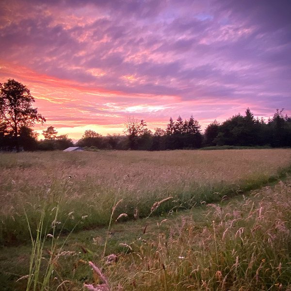 Domaine AbracadaRoom : Le Ranch Camping et Glamping - Image 3