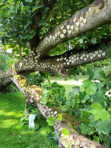 Domaine AbracadaRoom : Le cocon d'amour - Image 7