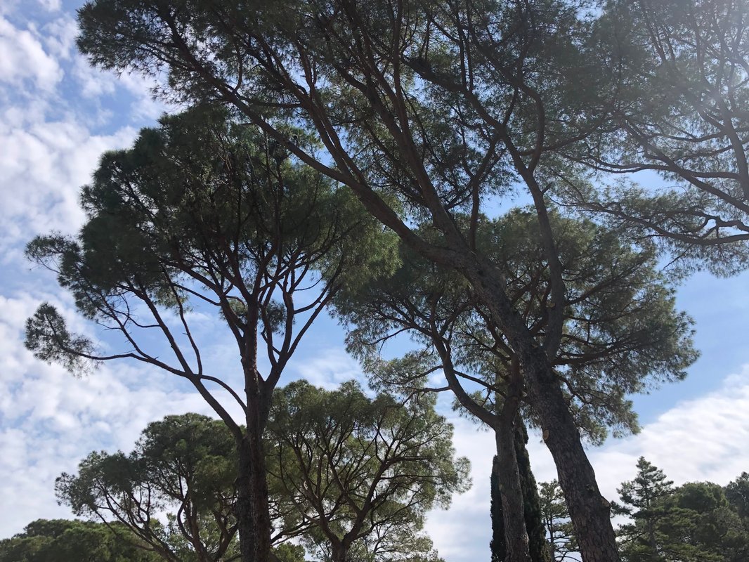 Chez Jean-François, Gîte 5* à Pezenas (12)