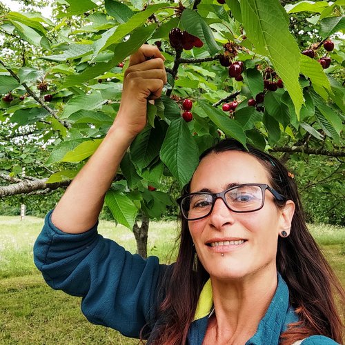 Emilie MORIN SAULIEREPaysanne confiturière, je transforme mes fruits BIO, non traités, en confitures, sirops, jus et vinaigres.