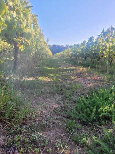 Domaine AbracadaRoom : Le Dôme du Lac de la Cadie - Image 6