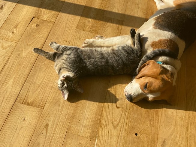 Domaine AbracadaRoom : Les terres de la chouette - Image 19