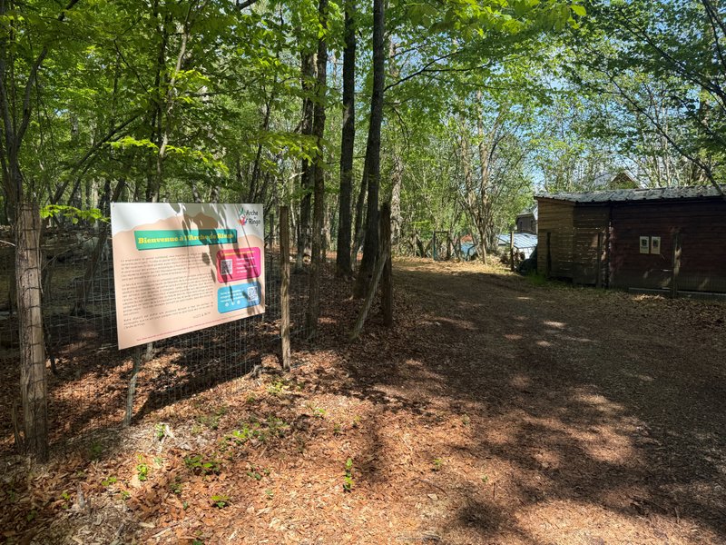 Domaine AbracadaRoom : Le Matoaka Lodge -  L'Arche de Ringo - Image 7