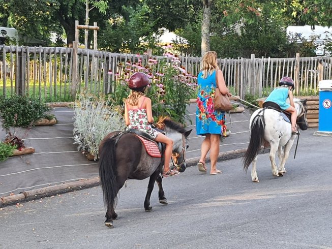 Hébergement AbracadaRoom : Lodge Kenya Confort 35m² - Image 4