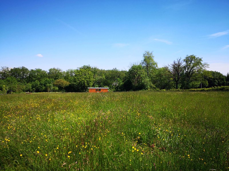 Domaine AbracadaRoom : Roulotte et Forêt : Evasion bohème en Bourgogne - Image 2