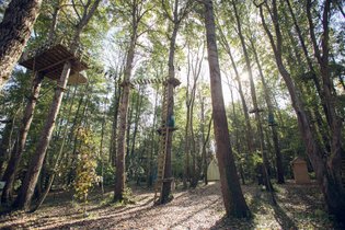 Bulle Seine-et-Marne