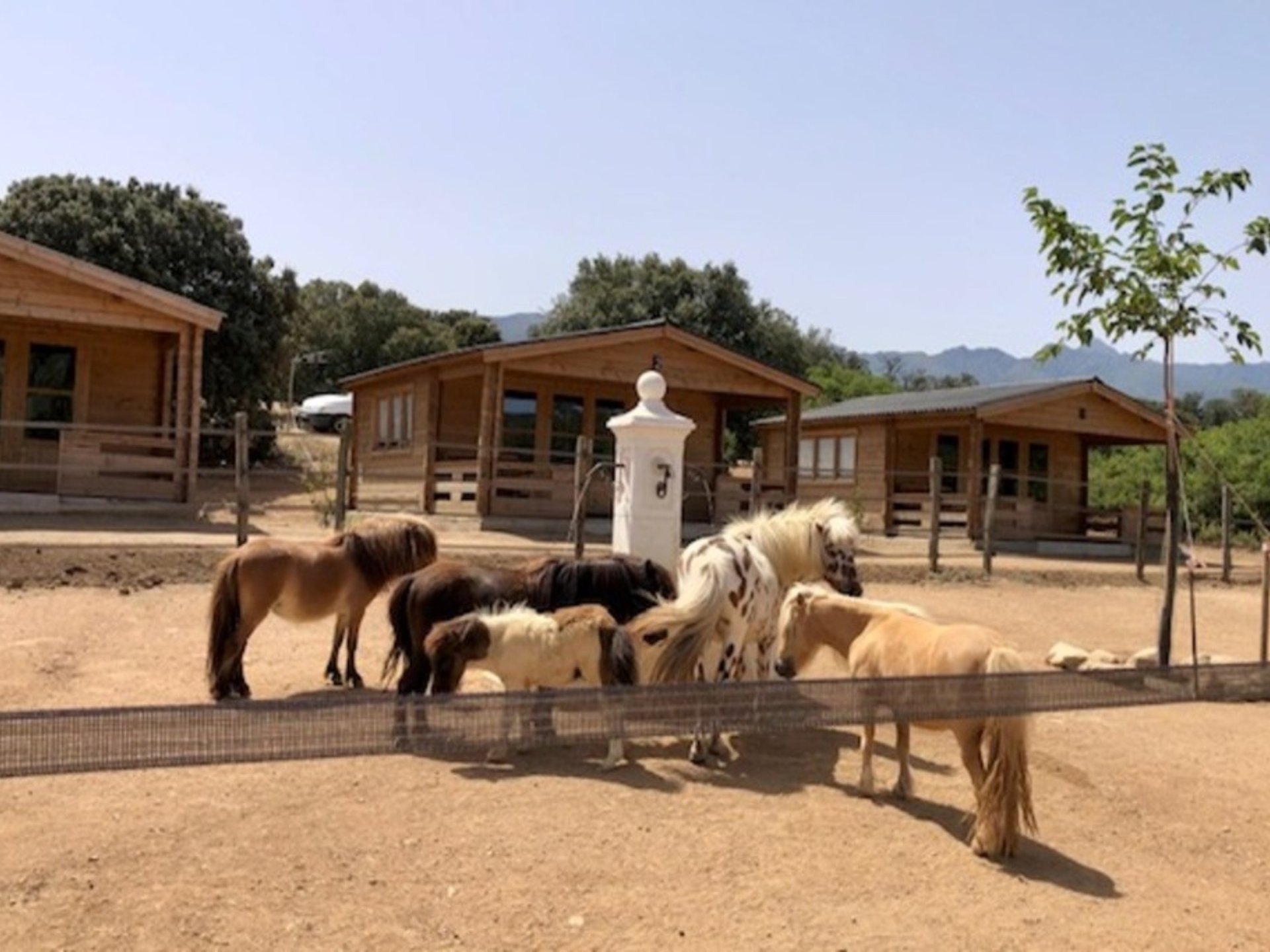 Les chalets de Tesa 4