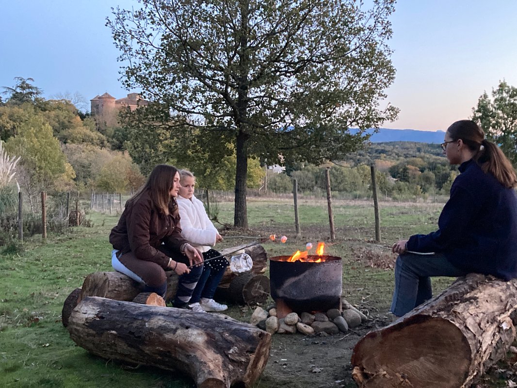 Cabane sur pilotis La Dame du Château- spa privé à Villarzel Du Razès (22)