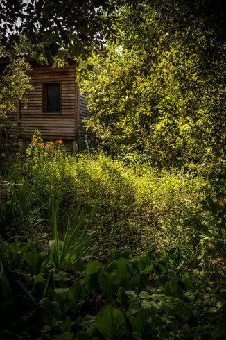 Hébergement AbracadaRoom : Zaza’s Cabin on Stilts - Image 6