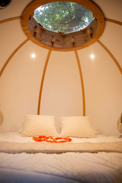 Hébergement AbracadaRoom : Cabane SPA Lov'nid - Image 21