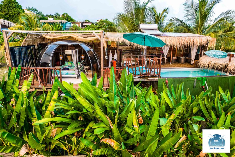 Star Dom — photo 2