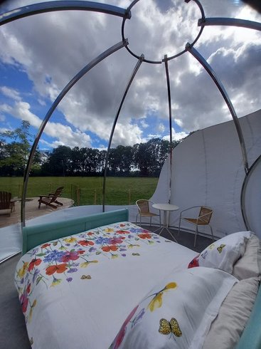 Hébergement AbracadaRoom : La Bulle des Alpagas - Image 4