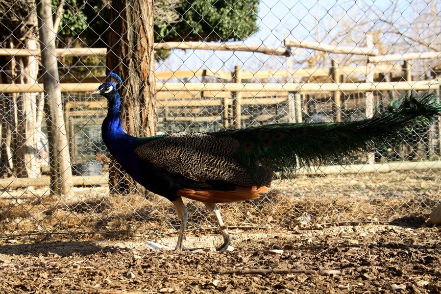 Domaine AbracadaRoom : Nid'Oiselet - Image 11