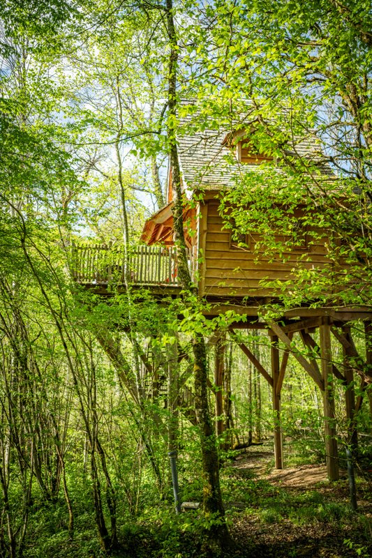Cabane féérique  Spa - Cigogne noire à Vernois Les Vesvres (5)