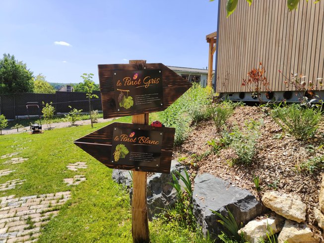 Hébergement AbracadaRoom : ECOLODGE LE PINOT GRIS - Image 12