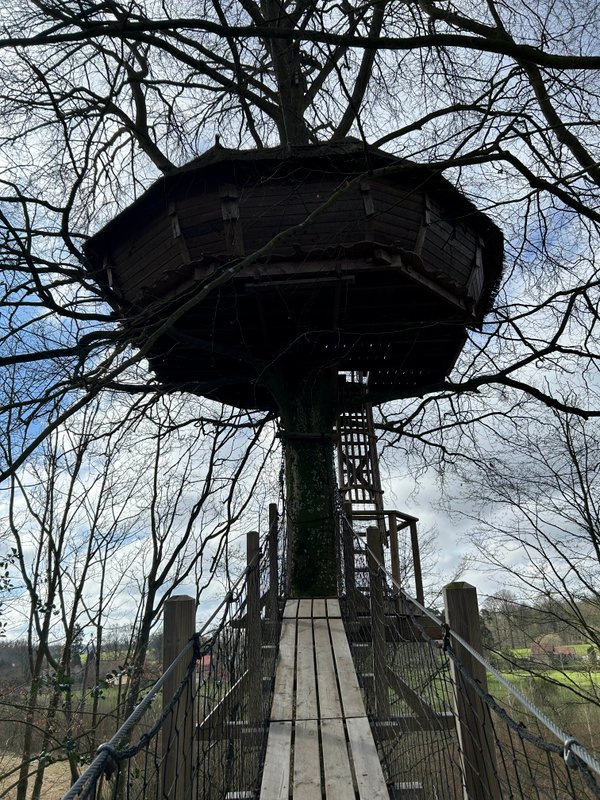 La cabane Haut-Perchée & Spa à Wail (26)