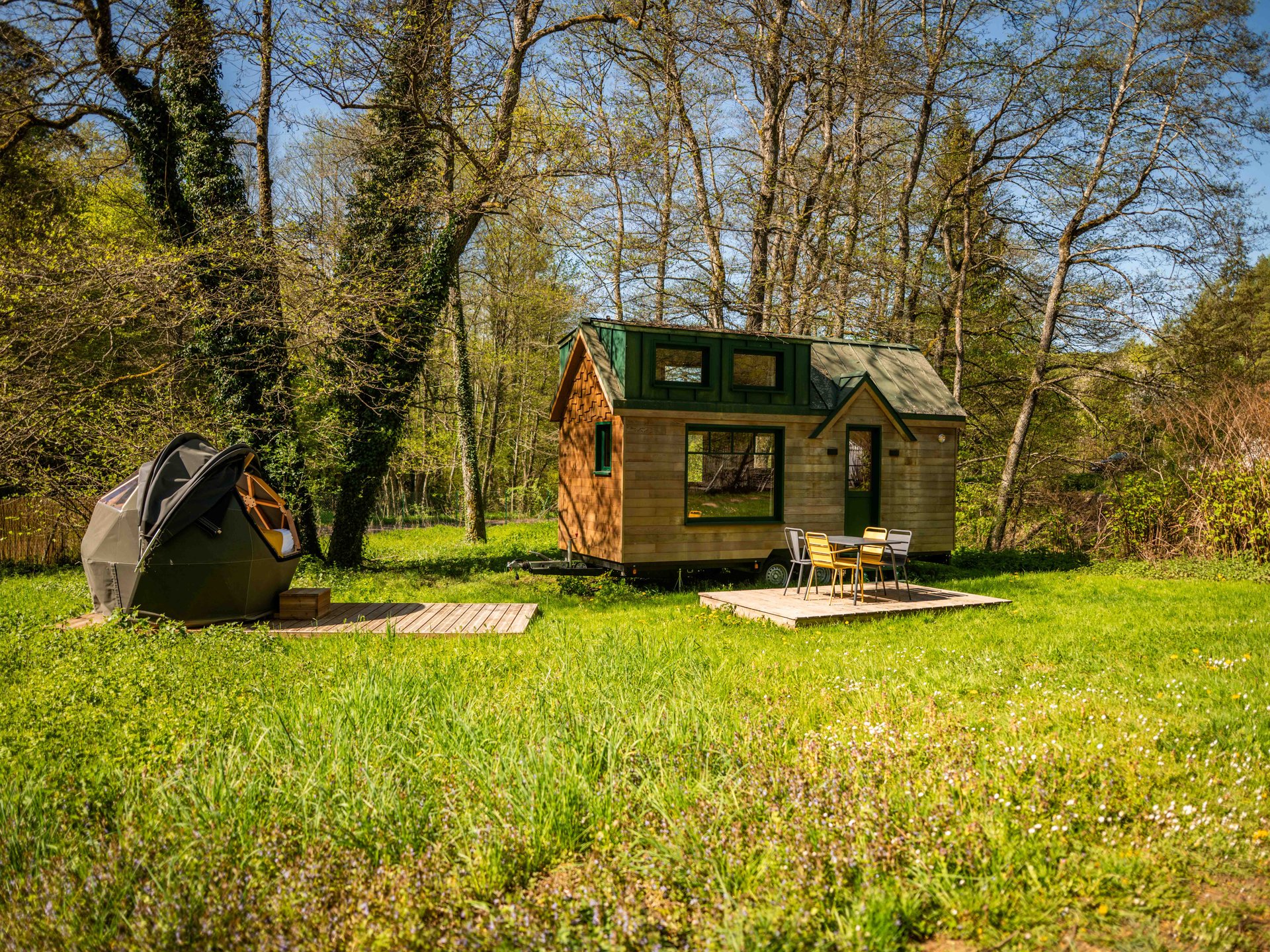 Dodomy House - Salamandre