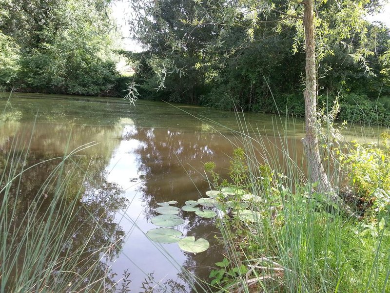 Domaine AbracadaRoom : Ânes du Cos - Image 4