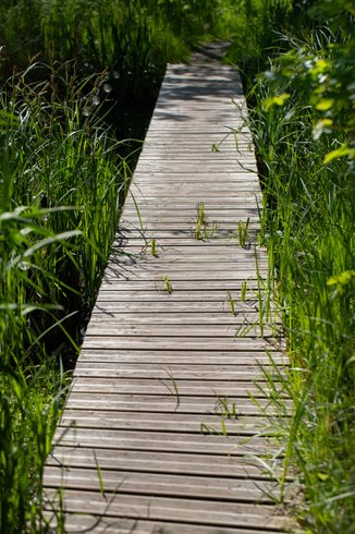 Hébergement AbracadaRoom : Dôme Etoile - Image 21