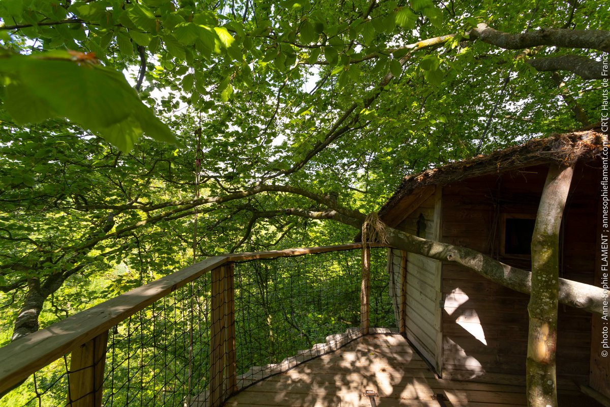 La cabane Haut-Perchée & Spa à Wail (39)