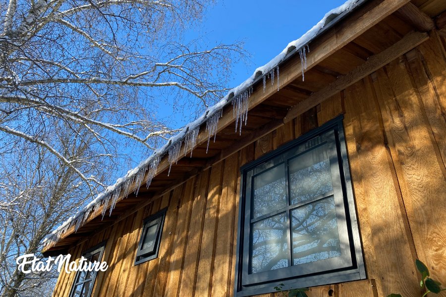Hébergement AbracadaRoom : La Cabane sur Pilotis Etat Nature - Image 10