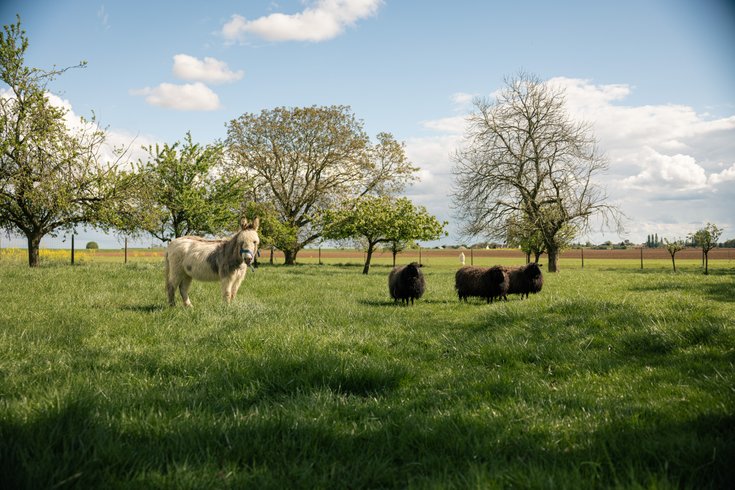 Domaine AbracadaRoom : Les ecogites de la sabliere - Image 1