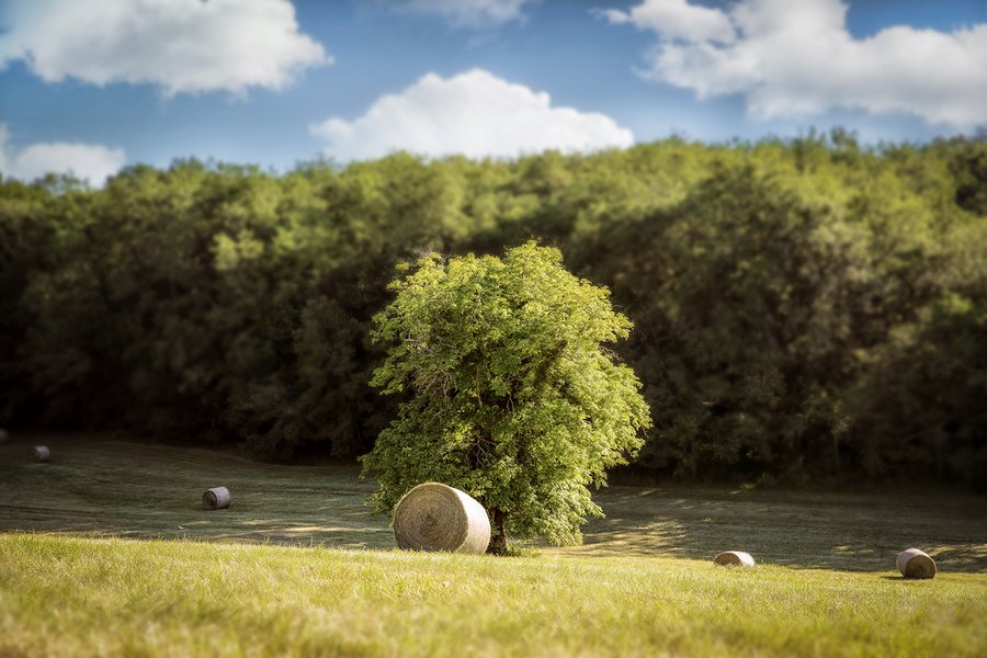Hébergement AbracadaRoom : Cabane du Grand Chêne & Spa - Image 17