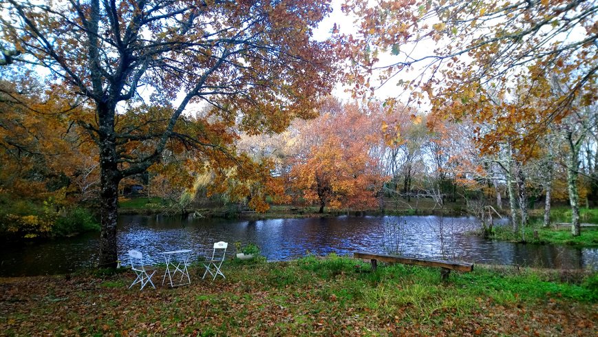 Domaine AbracadaRoom : Le Ranch Amadeus - Image 12