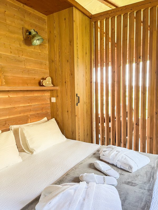 Cabane Mélèze & Spa à Rothonay (3)