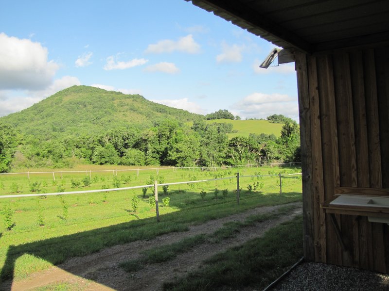 Domaine AbracadaRoom : D'Âme Saveurs - Camping des Vignes - Image 9